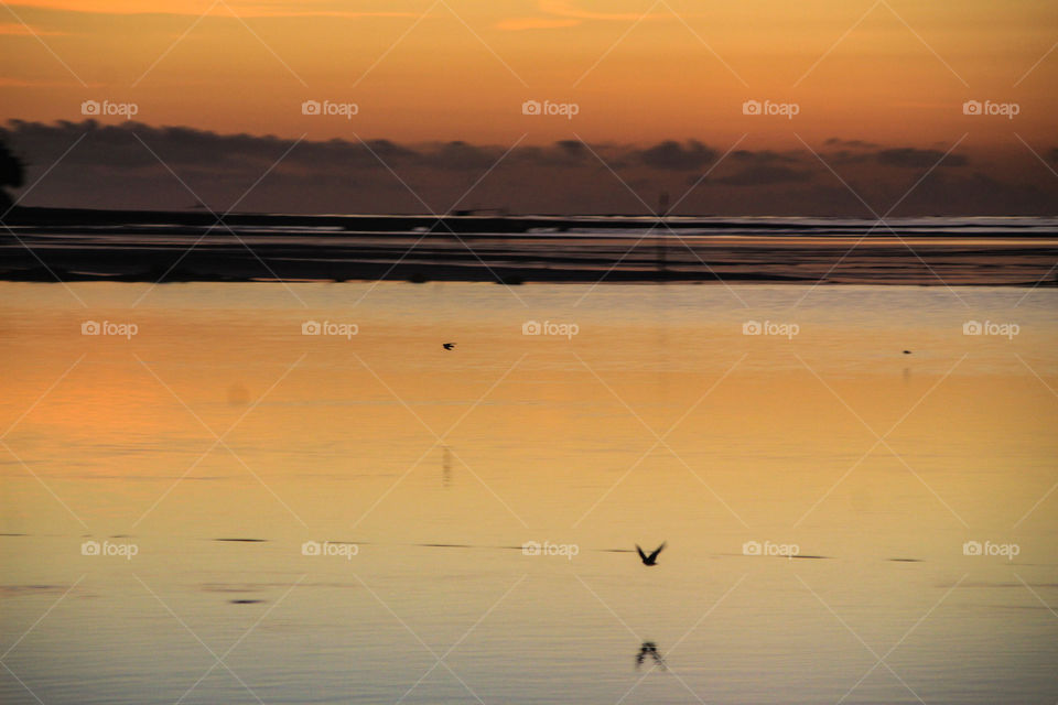 Be free like a bird 🐦