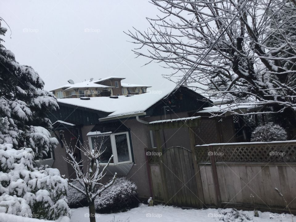 Little old home covered in snow 