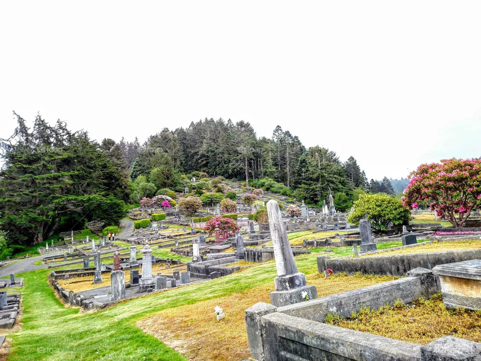 cemetery