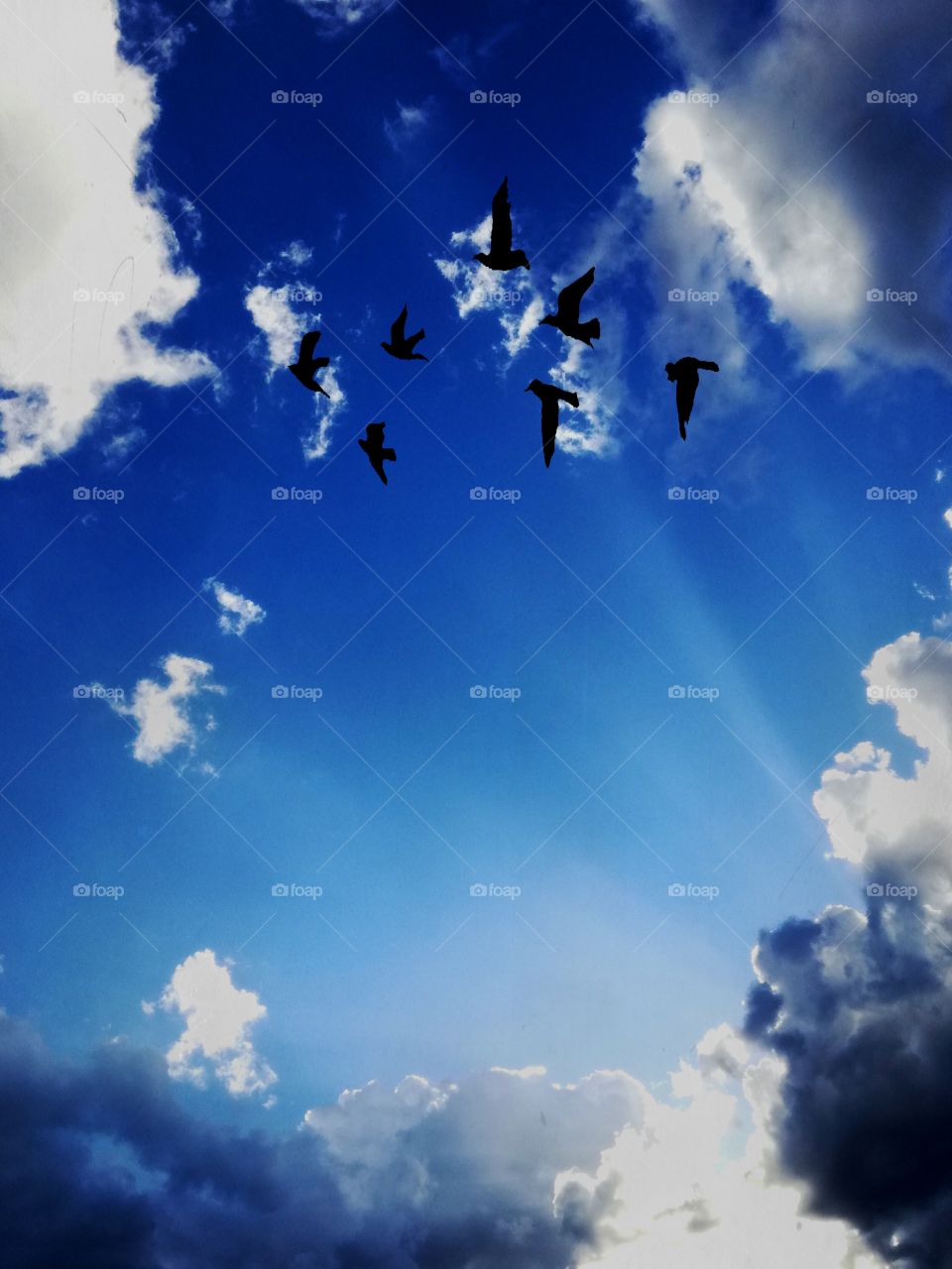 amazing blue sky with perfect white vlouds and