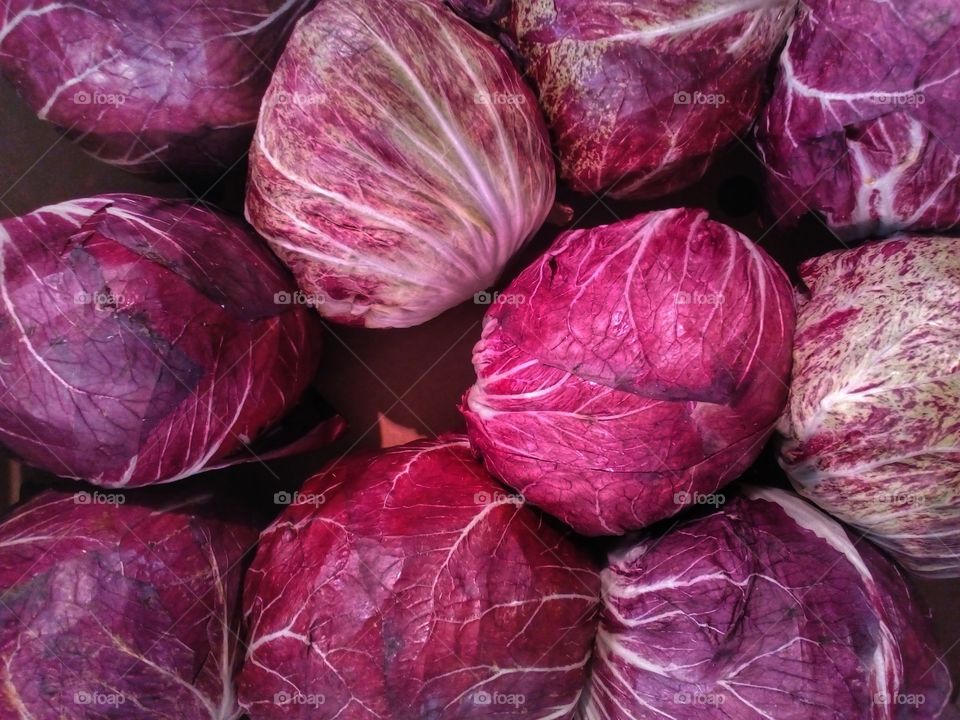Lettuce wrapped in purple background