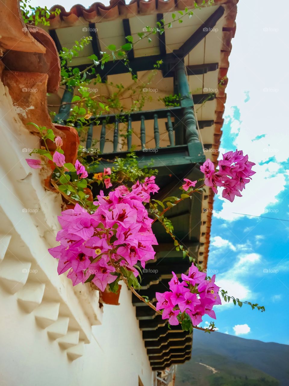 Flowers and balcony in Villa de Leyva Colombia