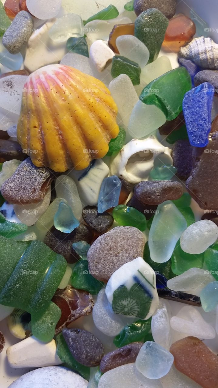 Hawaiian seaglass and shells