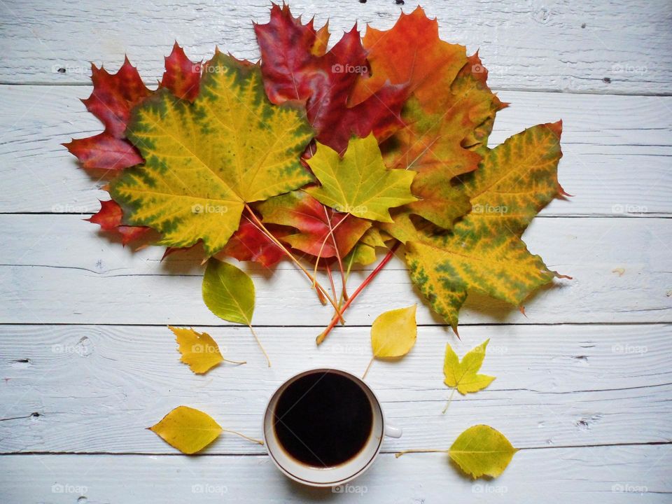 autumn and coffee