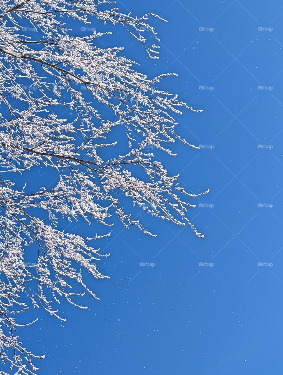 Icy day with clear blue sky.