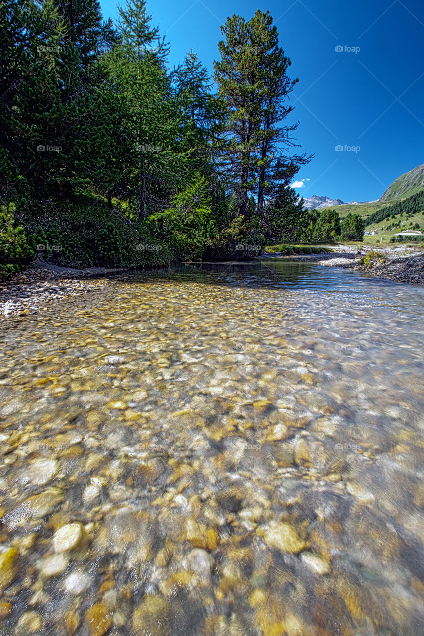 Mountain river that flows quietly and placidly, in a bed of pebbles, in the valley between woods and meadows.