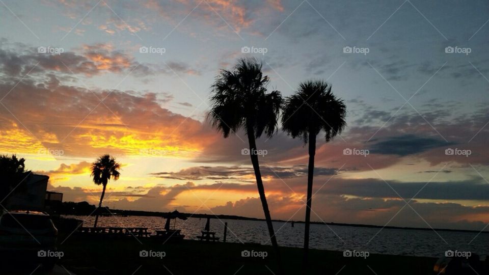 Beach, Sunset, Seashore, Ocean, Sun