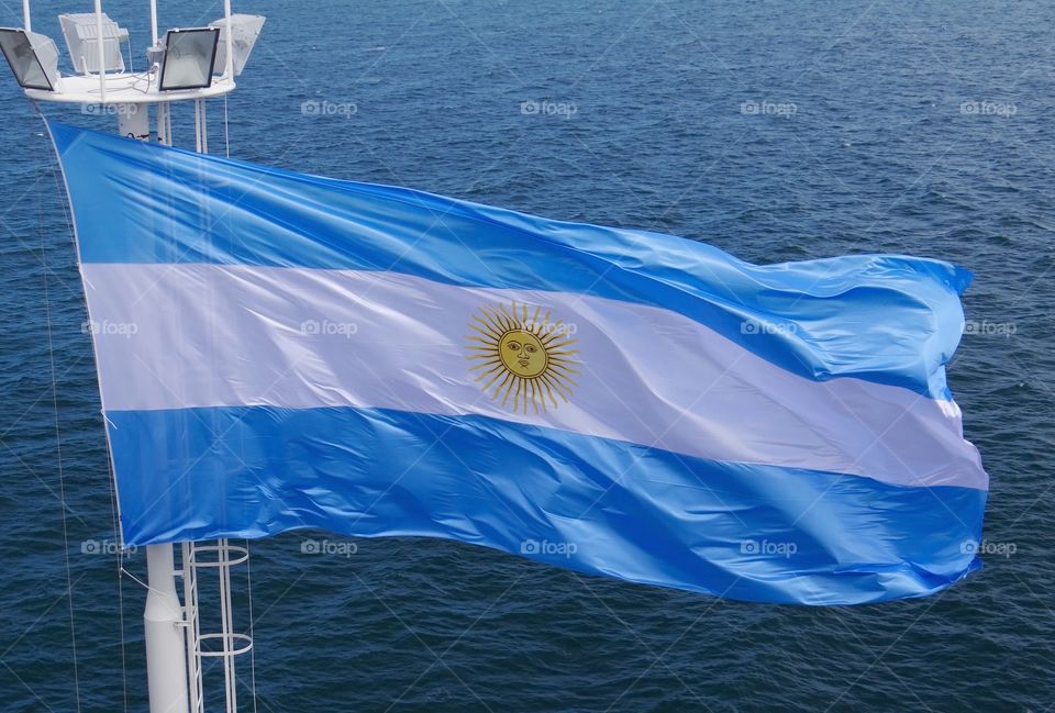 Argentine Flag 🇦🇷 