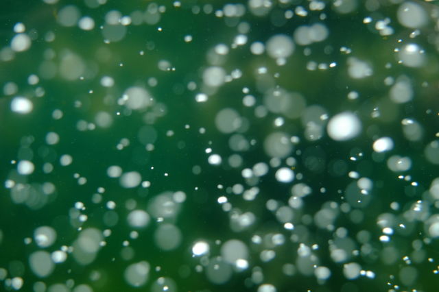 green bubbles 