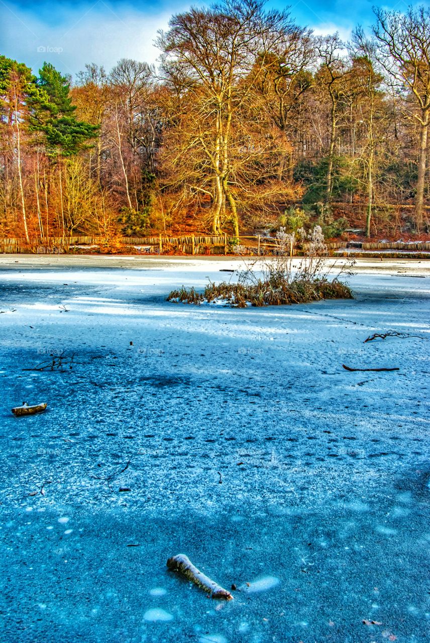 Frozen Lake