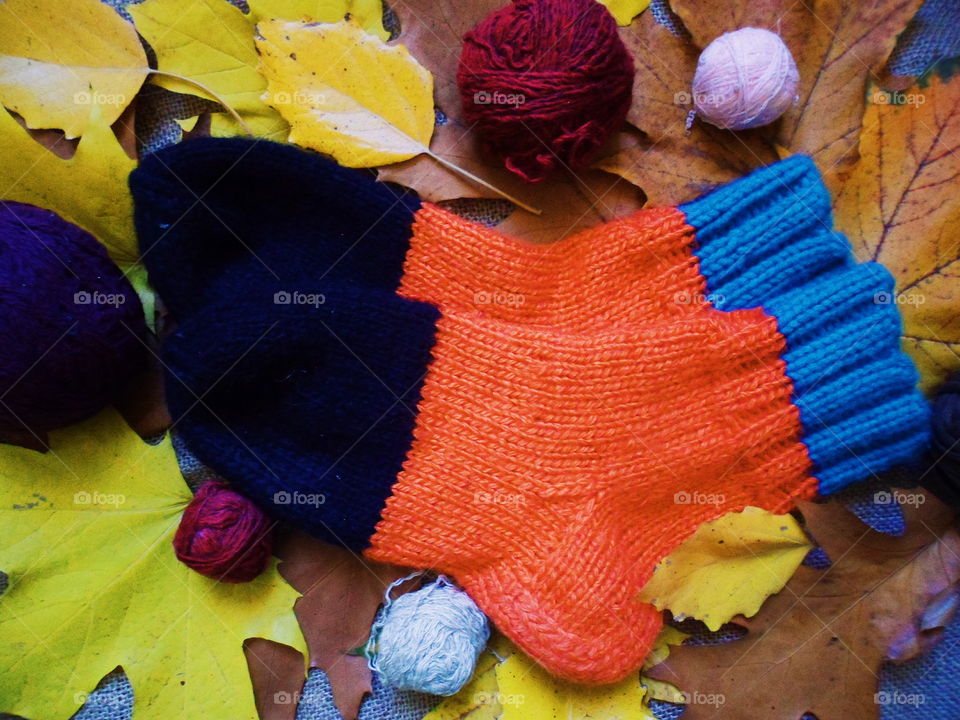 knitted warm socks and autumn leaves