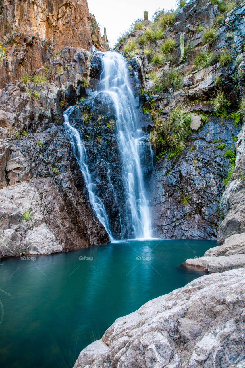 An Arizona desert oasis in the Superstition Wilderness