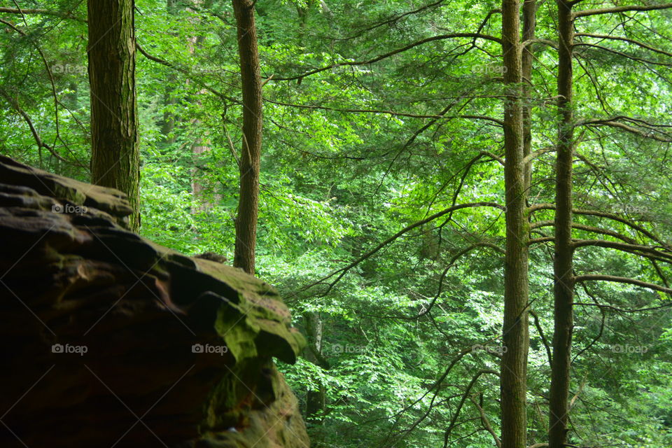 Hocking hills