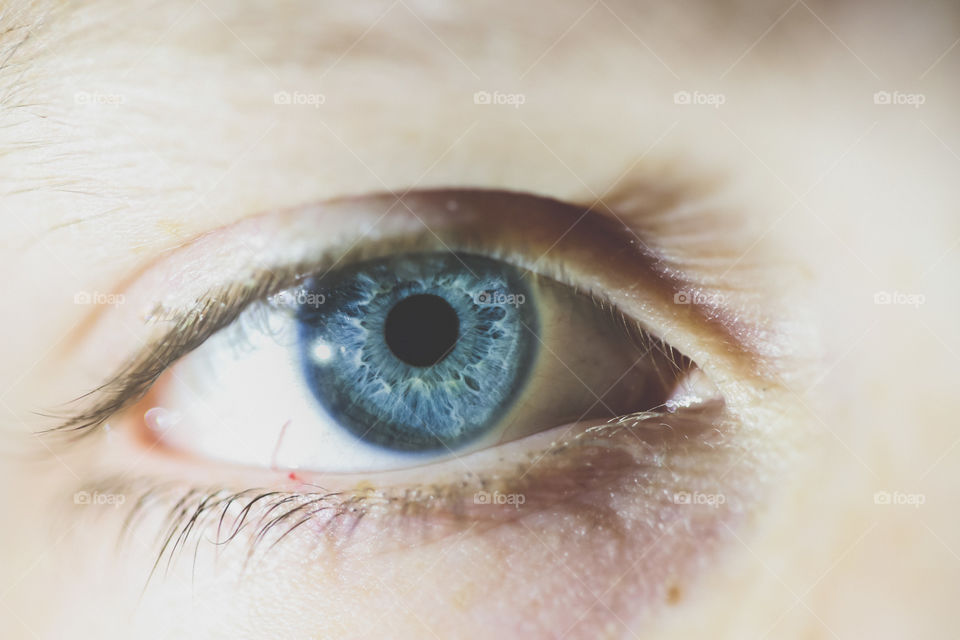 Beautiful and detailed close-up of an aqua or turquoise eye