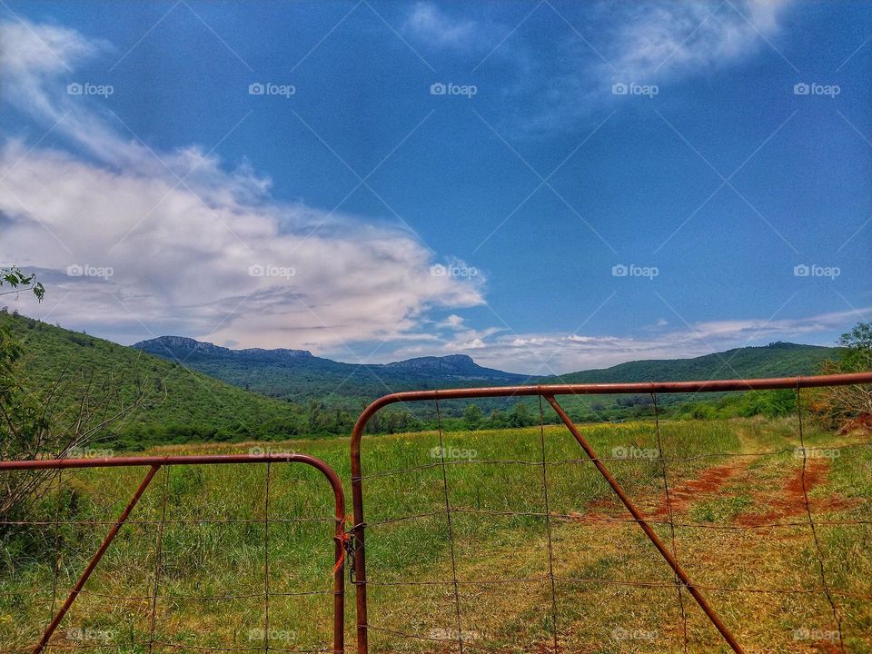landscape with farm gate