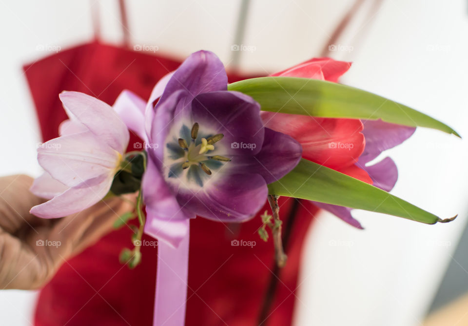 Woman holding Beautiful flower crown made of colorful tulips in front of red dress conceptual photography getting ready for celebration event 