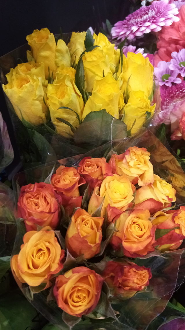 Blumen Germany