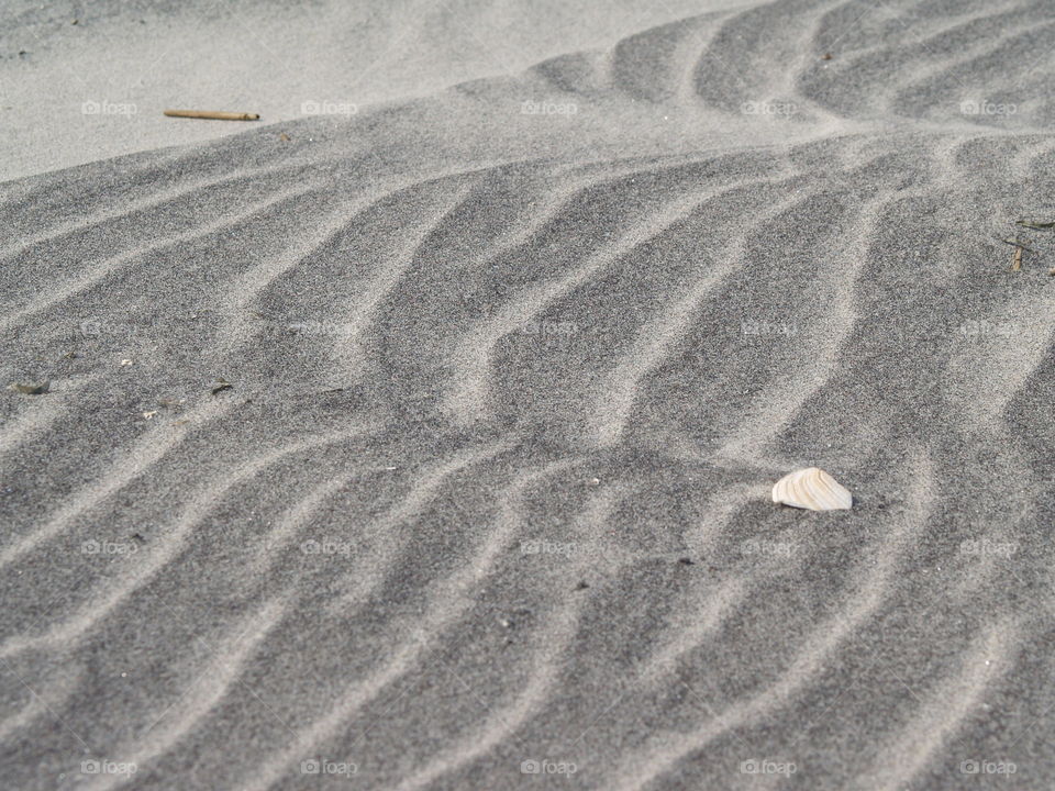 Sand Waves