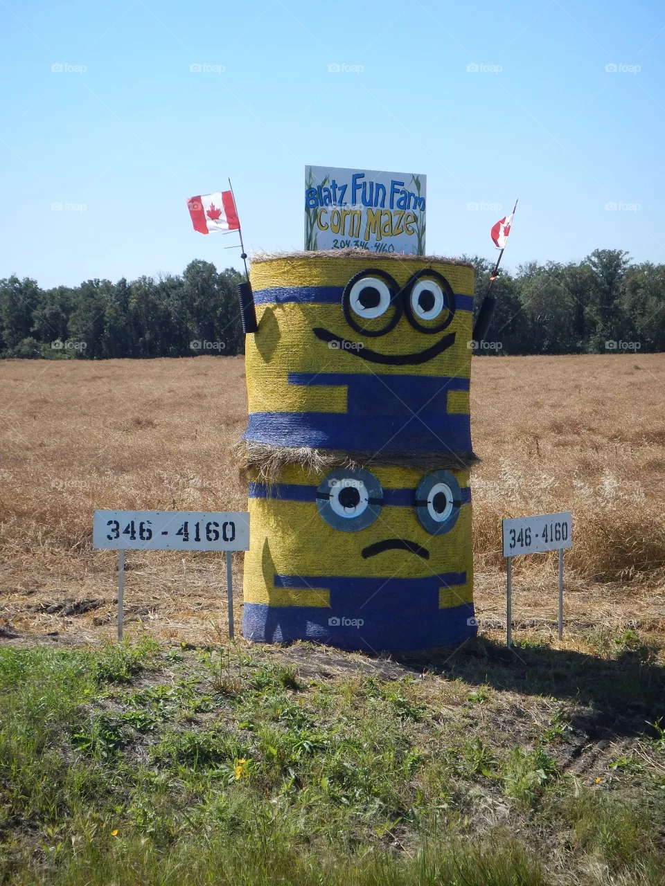 Minions