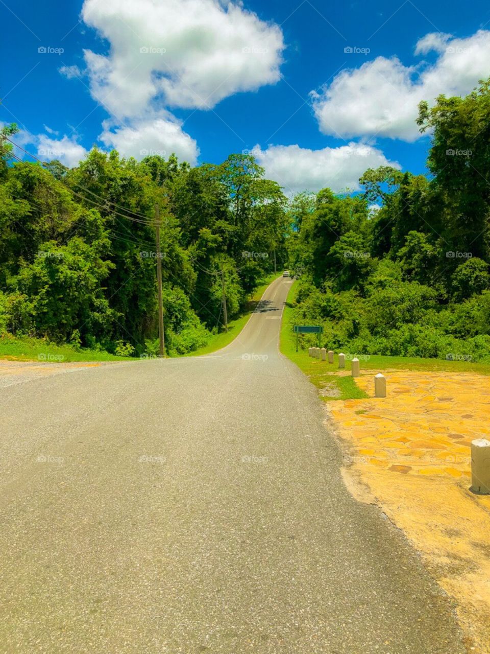 Khao Yai National Park,Thailand