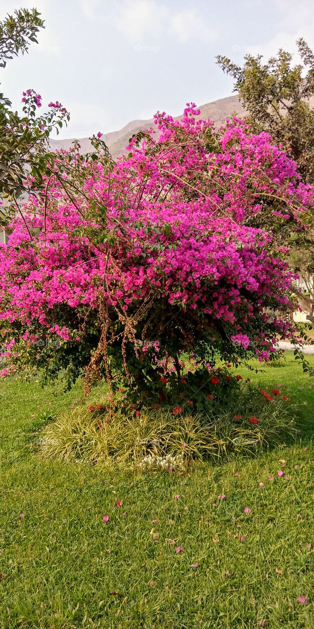 Singular and beautiful