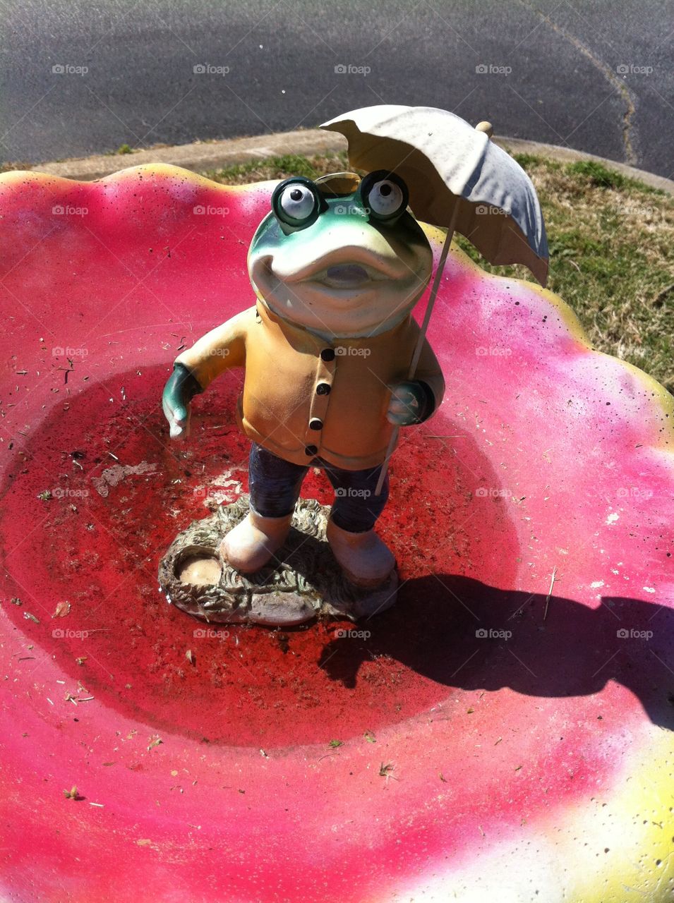Frog Water Fountain