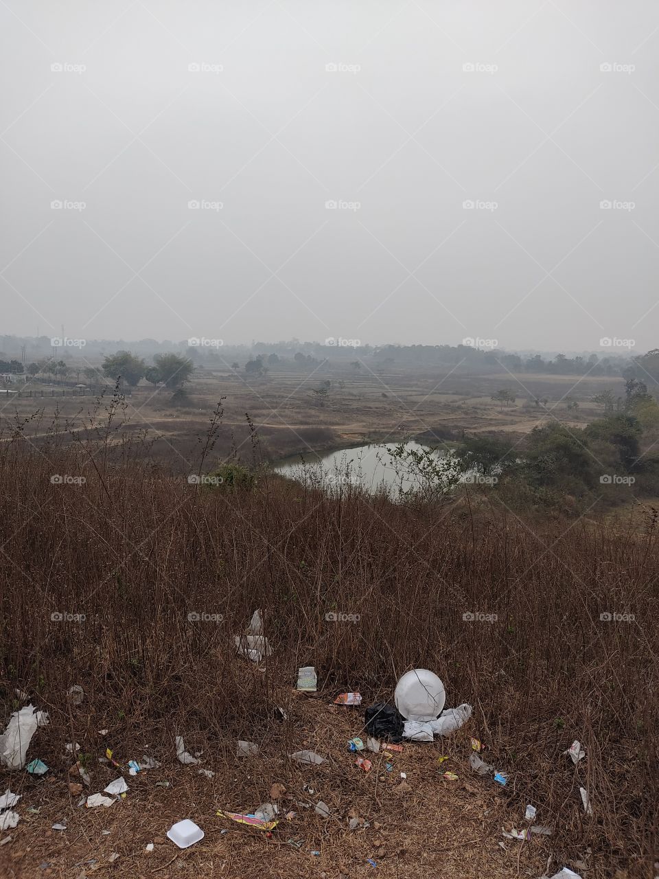 😍Pond to have a picnic.