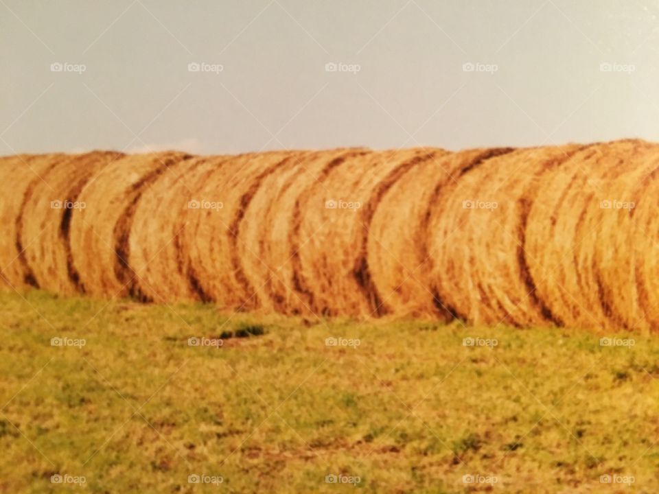 Round bales