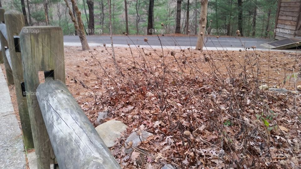 Fort Mountain Ga Park