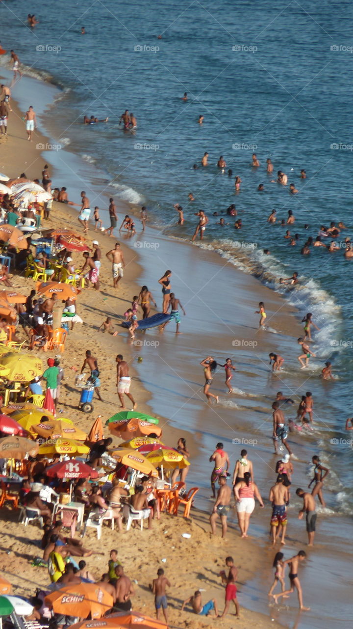 beach of Salvador de Bahia