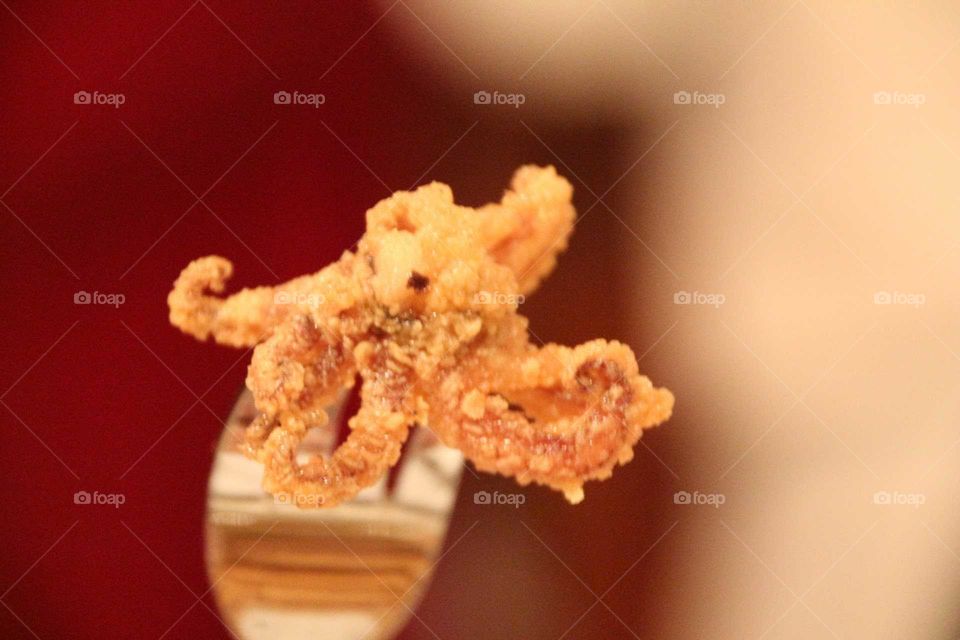 fried calamari on a fork