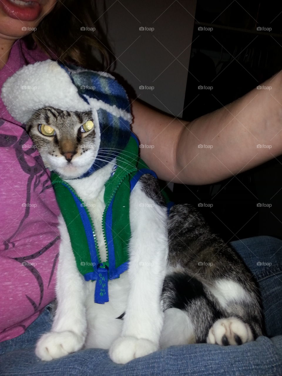 cat in sweater vest and hat, ready for the cold winter