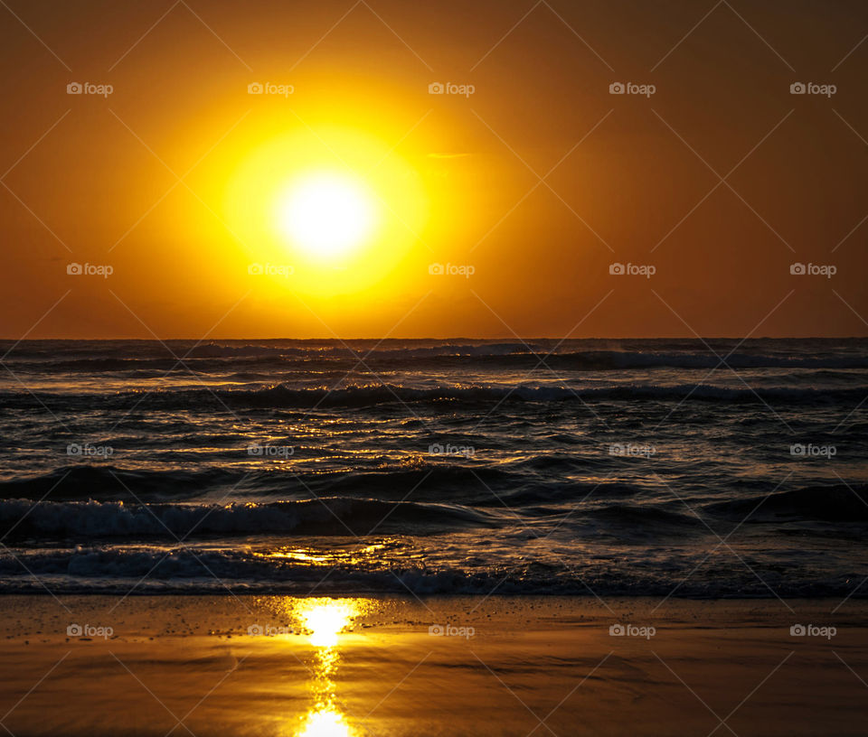 Travel around the world