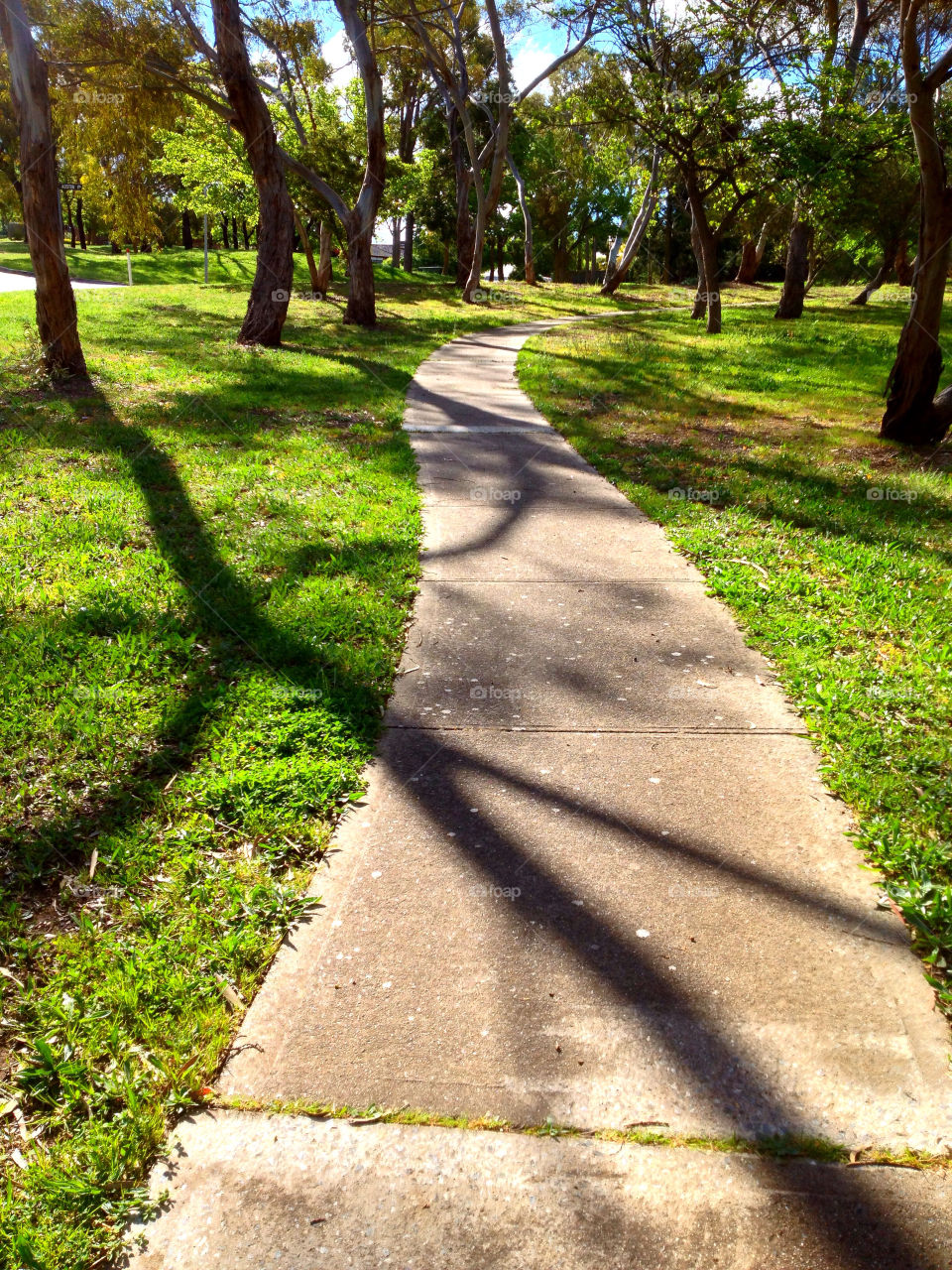 grass sunny trees park by kshapley