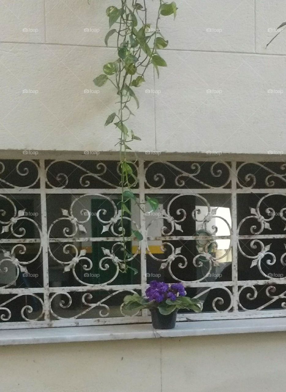 Vase of violet on the window