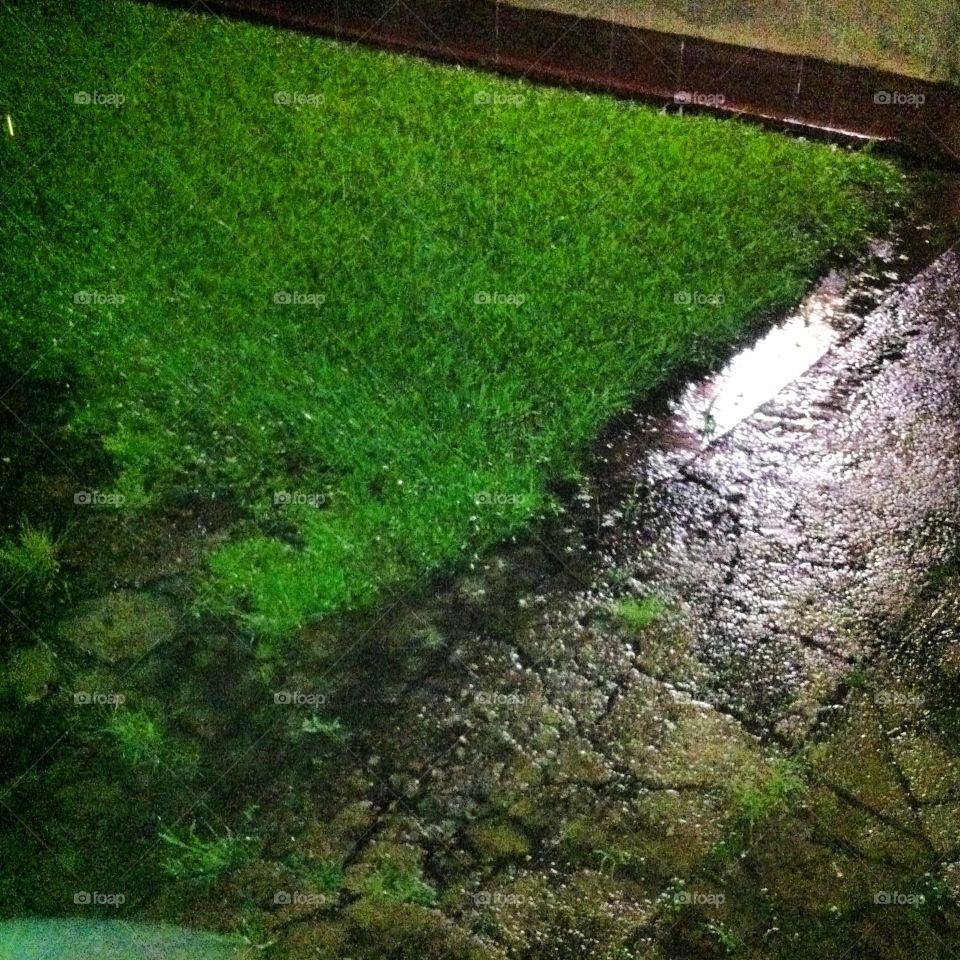 Um dia de chuva (e abençoada), molhando a grama e deixando tudo mais verde e mais vivo!