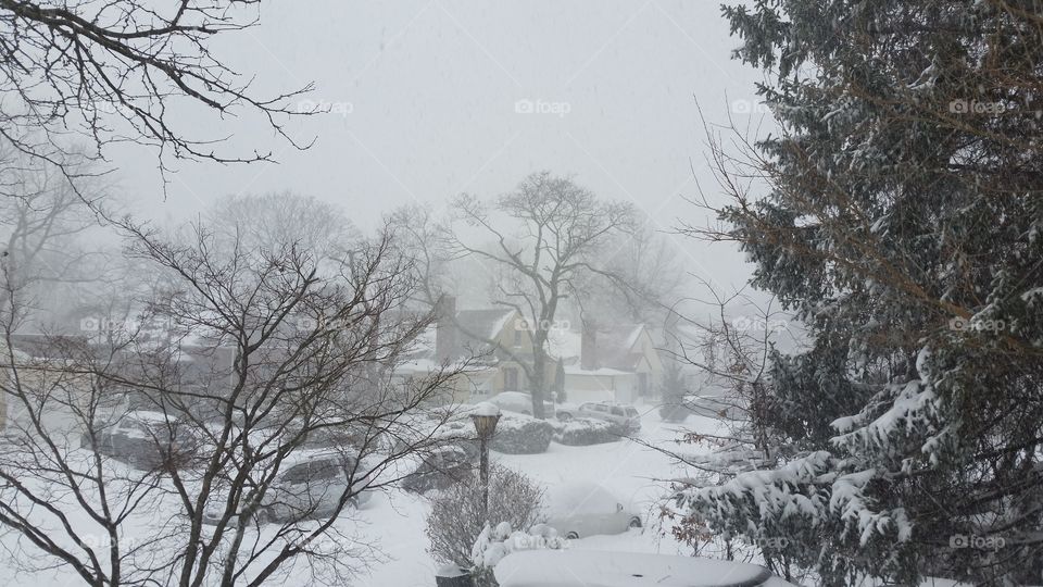 NY Snow  Storm 1/222/16