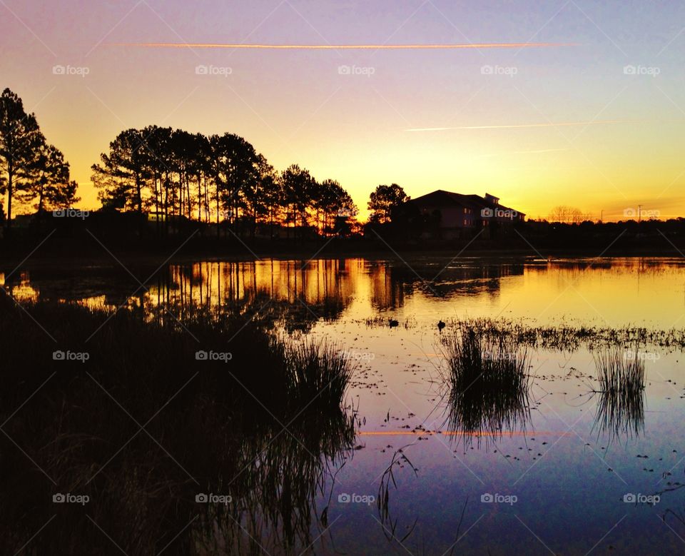 Pond at sunset