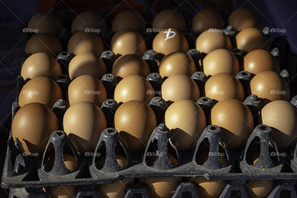 Eggs are placed The black plastic panels.