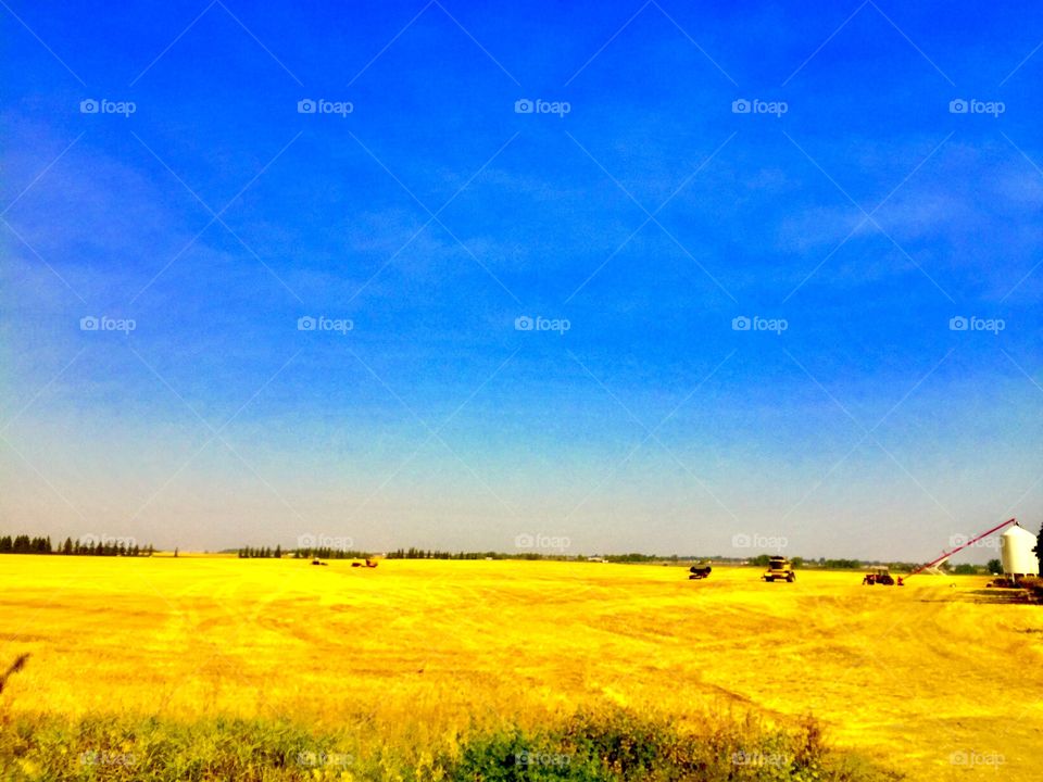 Brandon Manitoba prairie 