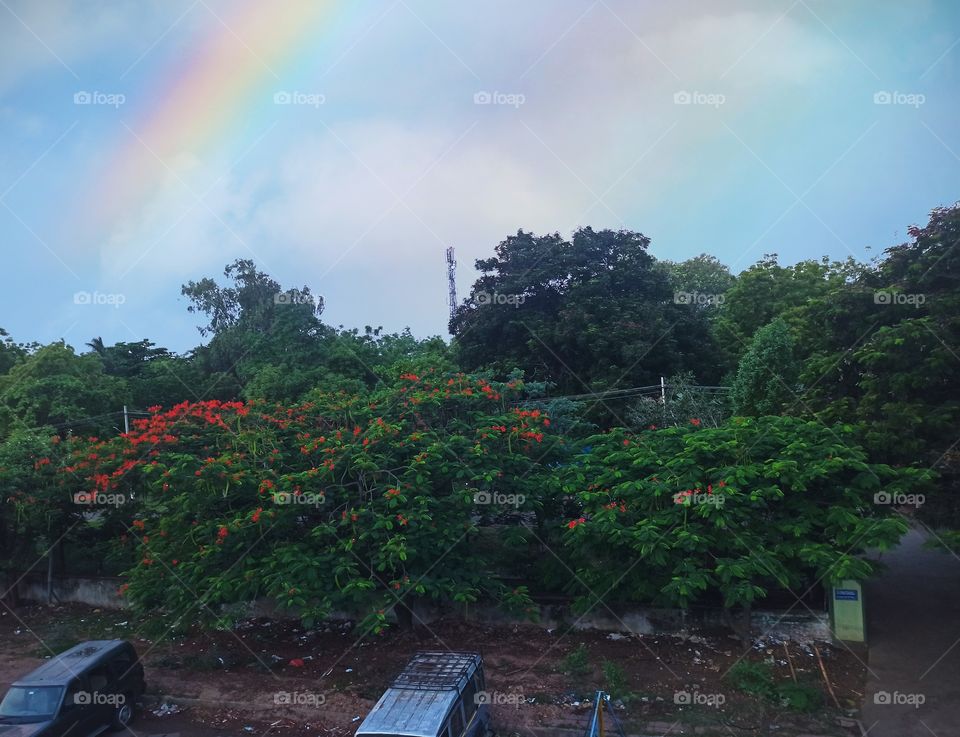 rainbow nature beaty