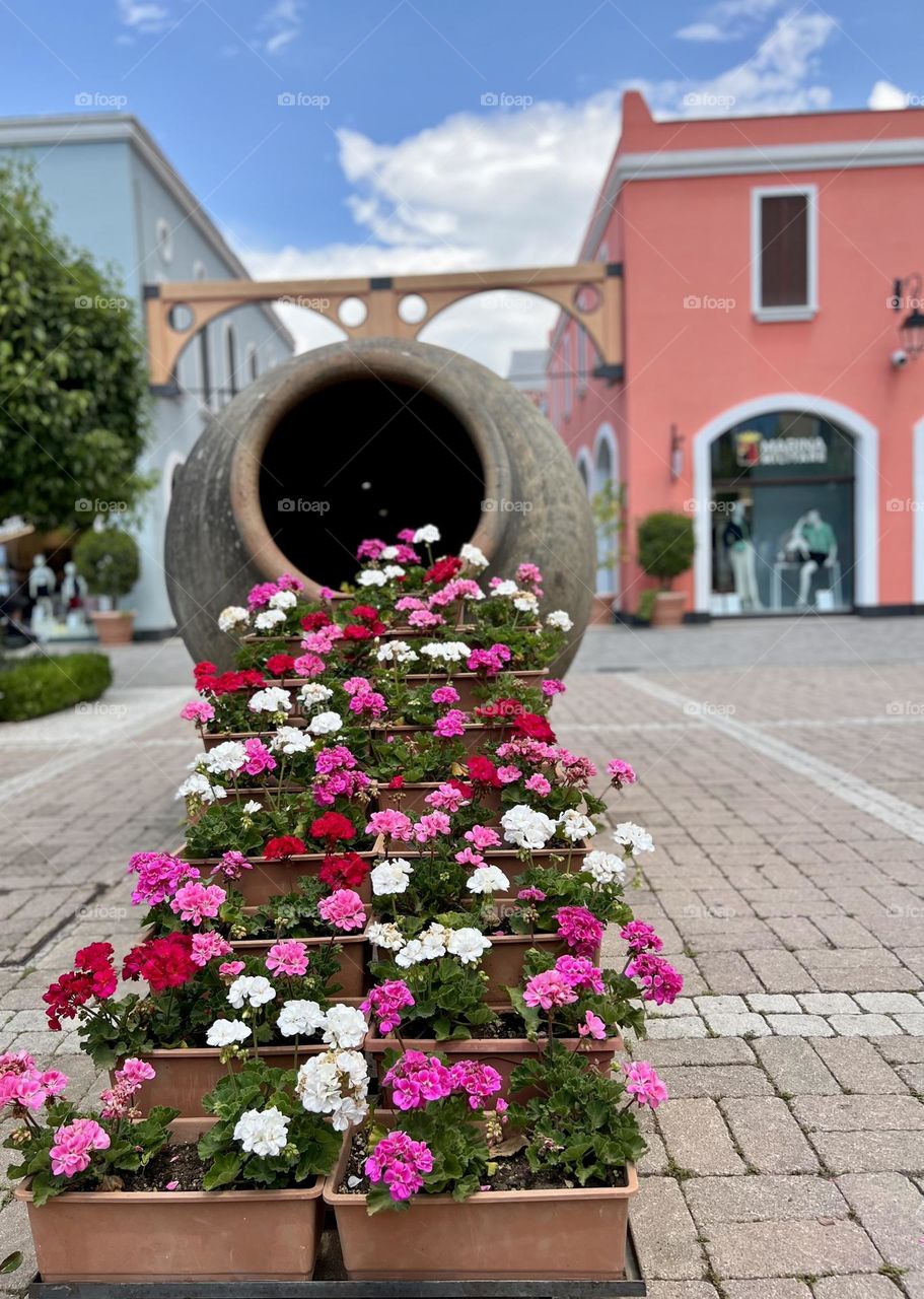 Urban nature plants 