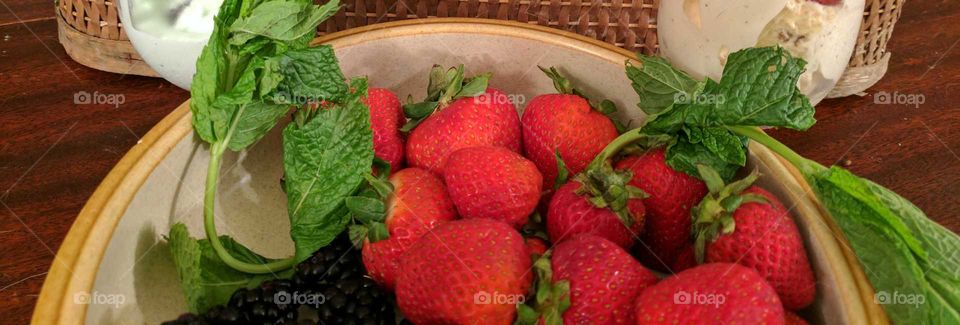 Colorful berries