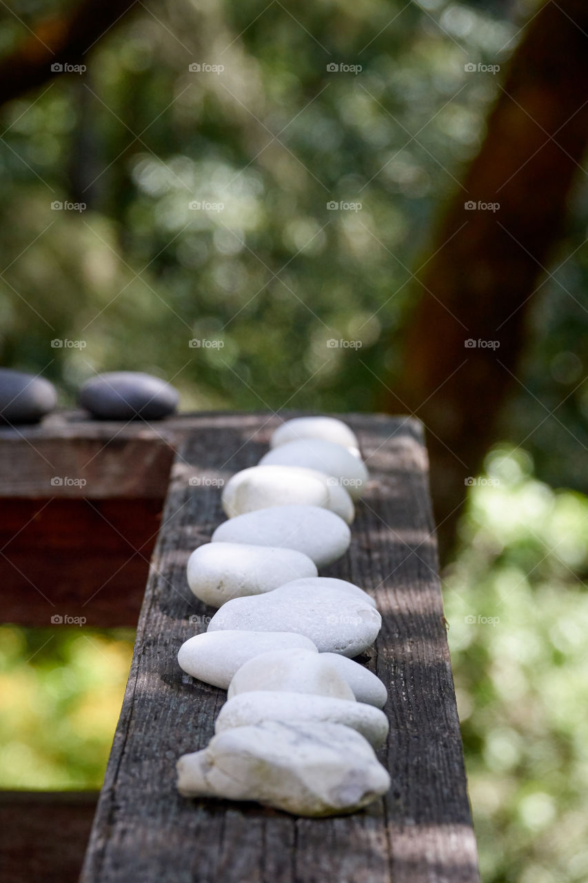 Small white stones on a wooden railing, surrounded by the green and sunlight of a forest.