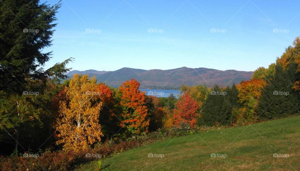 Adirondack Scenery