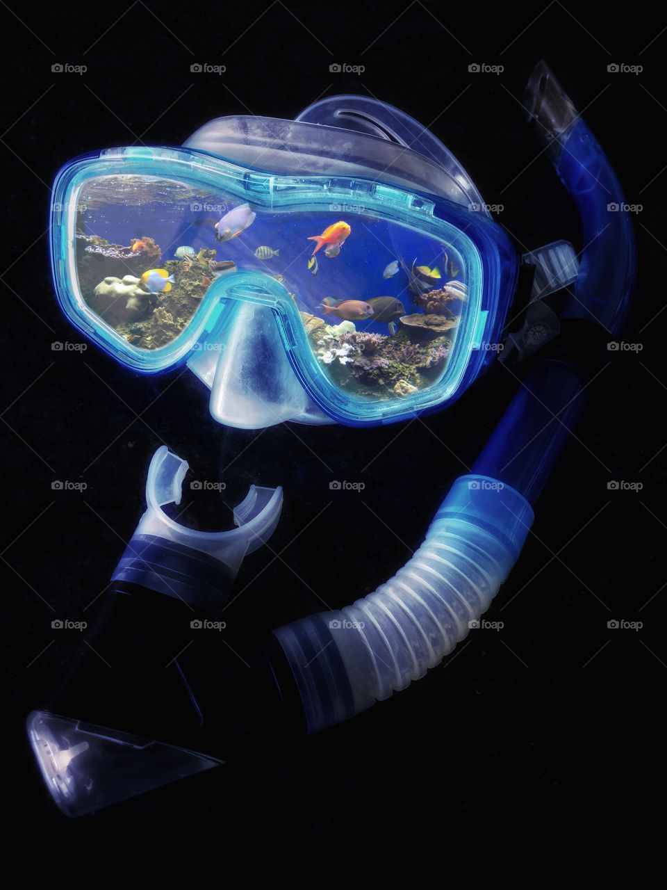Snorkel and mask with reef fish double exposure 