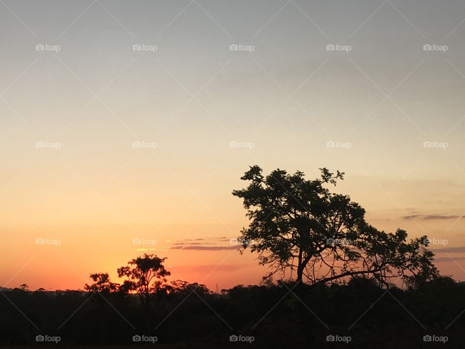 🌄#Entardecer que nos traz motivação!
Como não se inspirar com a beleza da #natureza?
📸 
#fotografia #sol #sun #sky #céu #nature #horizonte #paisagem #landscape #inspiração #mobgrafia #XôStress
#FotografiaÉNossoHobby