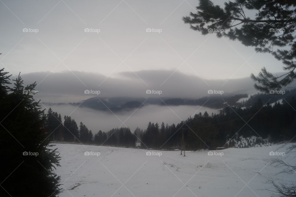 Fog in the mountines