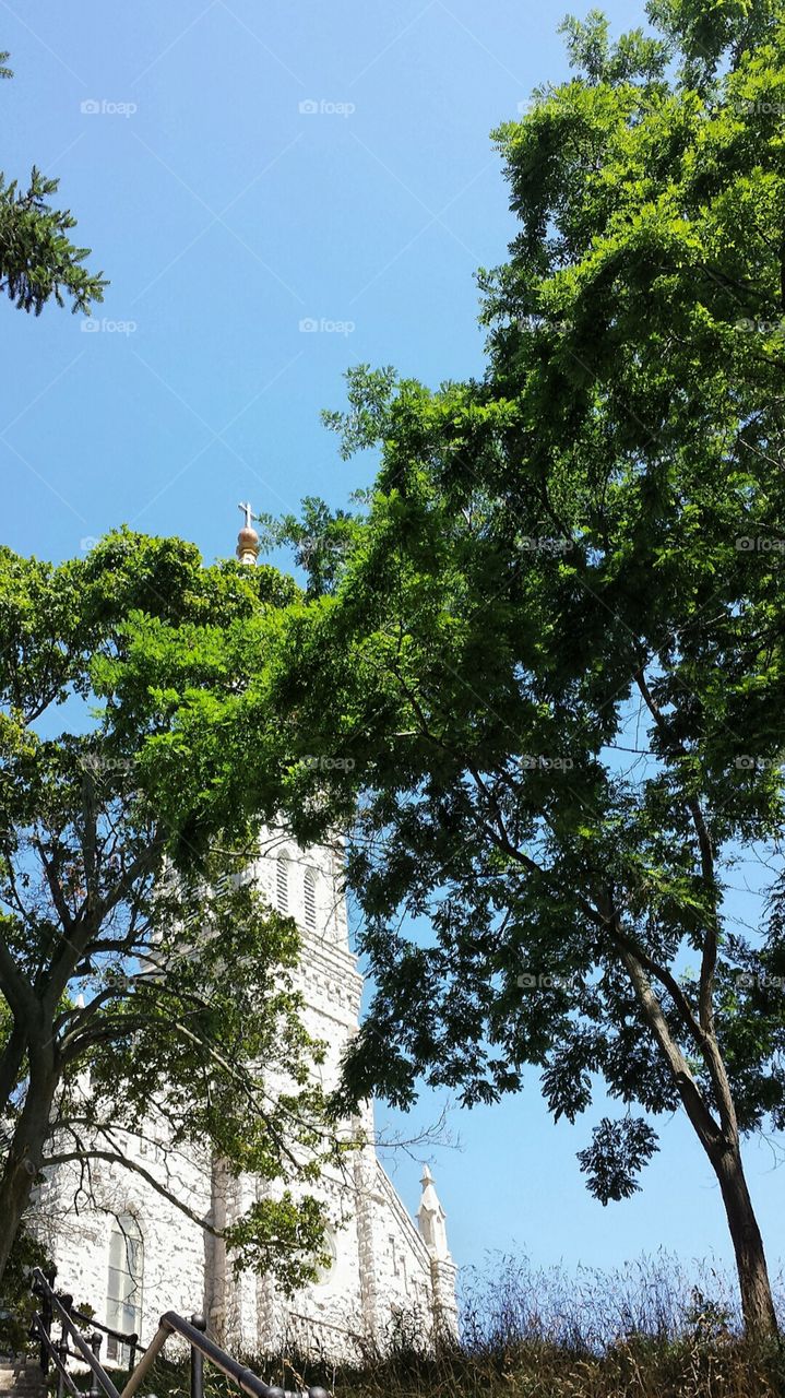 Historic Church. View thru the Trees