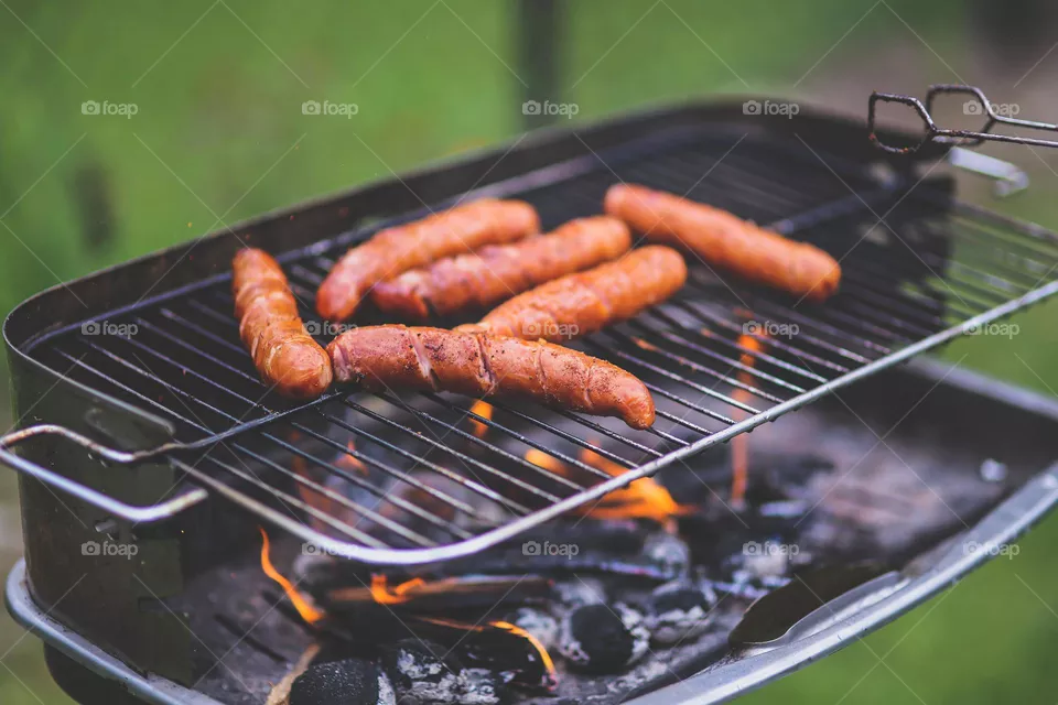 Summer Sausage 